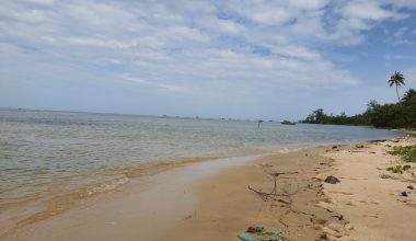 Bán 5405m2 đất mặt biển Cây Sao – Hàm Ninh – Phú Quốc